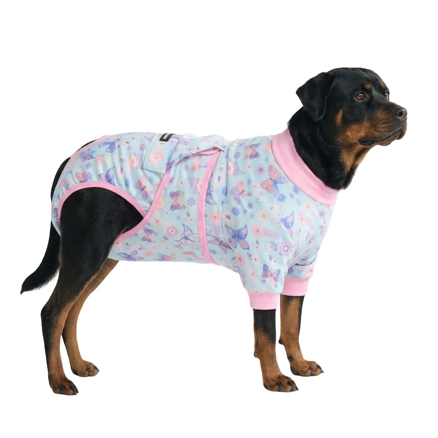 Dog Recovery Suit After Surgery — Anti-Lick Onesie & Cone Alternative (Wound Protection)