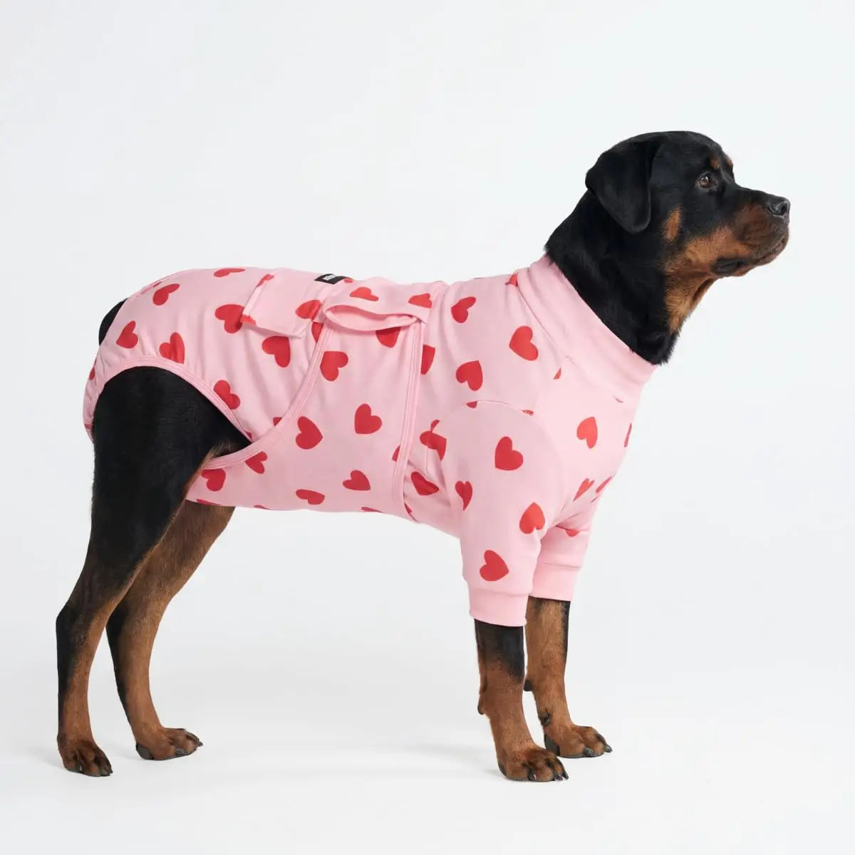 Dog Recovery Suit After Surgery — Anti-Lick Onesie & Cone Alternative (Wound Protection)