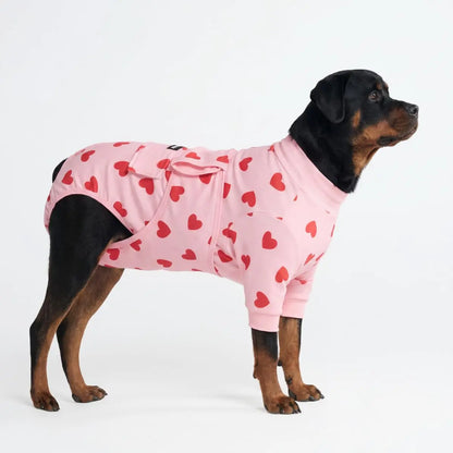 Dog Recovery Suit After Surgery — Anti-Lick Onesie & Cone Alternative (Wound Protection)