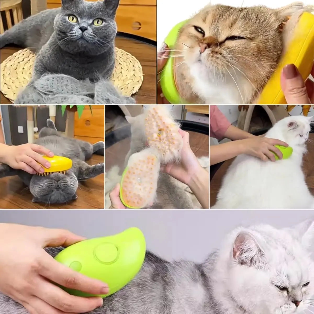 3-in-1 Steamy Pet Grooming Brush — De-Shed, Massage & Refresh for Dogs & Cats