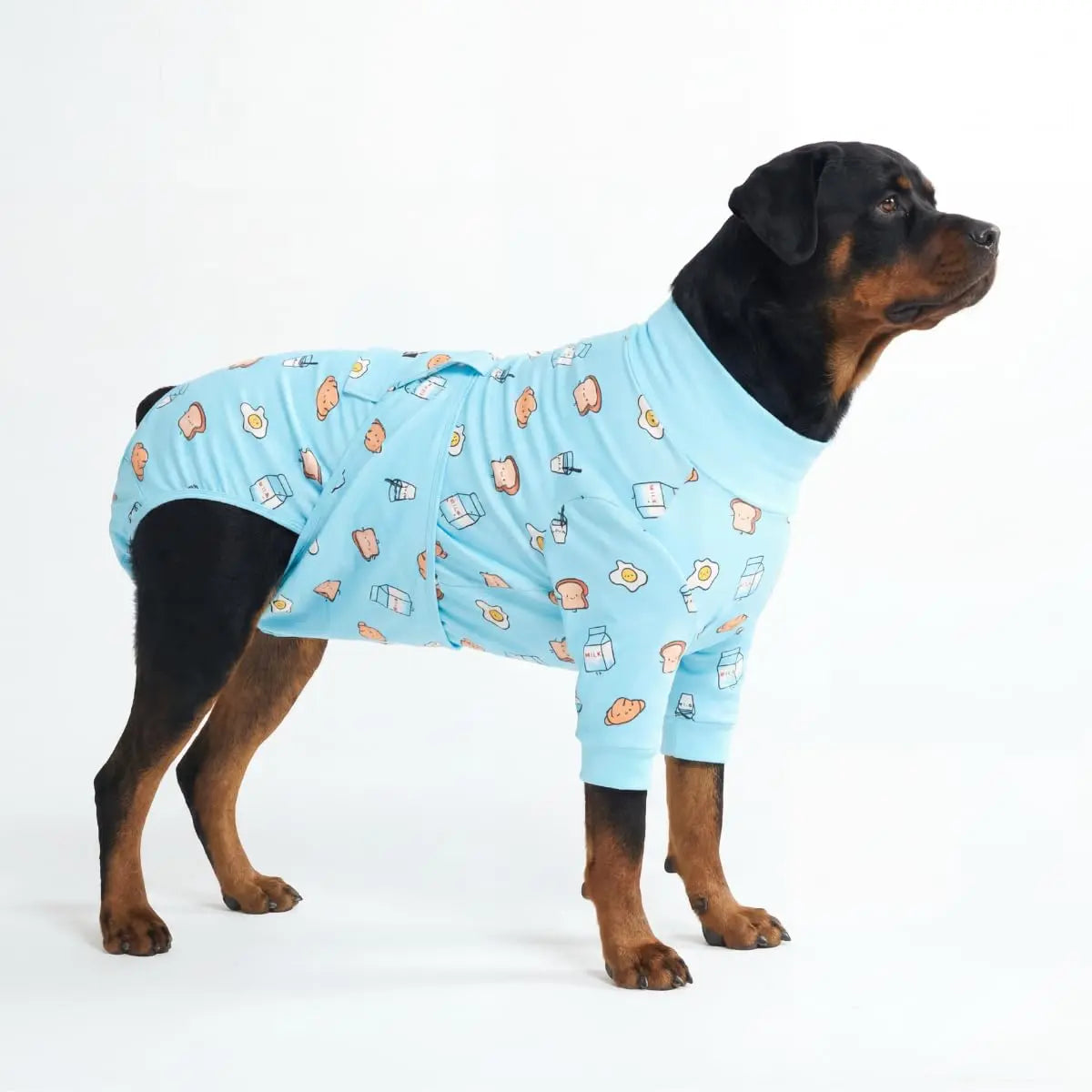Dog Recovery Suit After Surgery — Anti-Lick Onesie & Cone Alternative (Wound Protection)