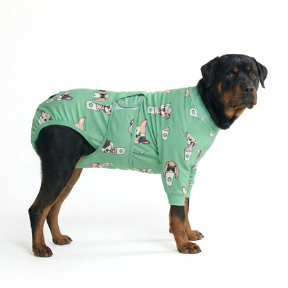 Dog Recovery Suit After Surgery — Anti-Lick Onesie & Cone Alternative (Wound Protection)