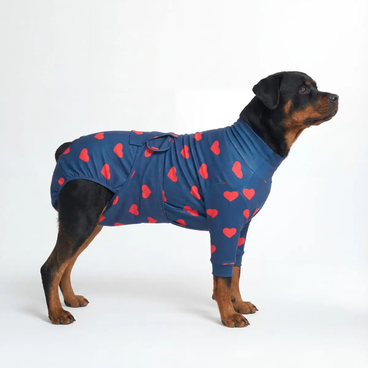 Dog Recovery Suit After Surgery — Anti-Lick Onesie & Cone Alternative (Wound Protection)