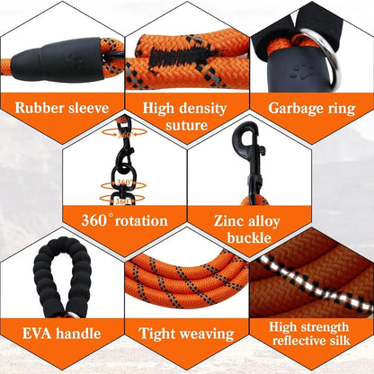 Tangle-Free Dual Dog Leash — Shock-Absorbing Bungee Walker for 2 Dogs