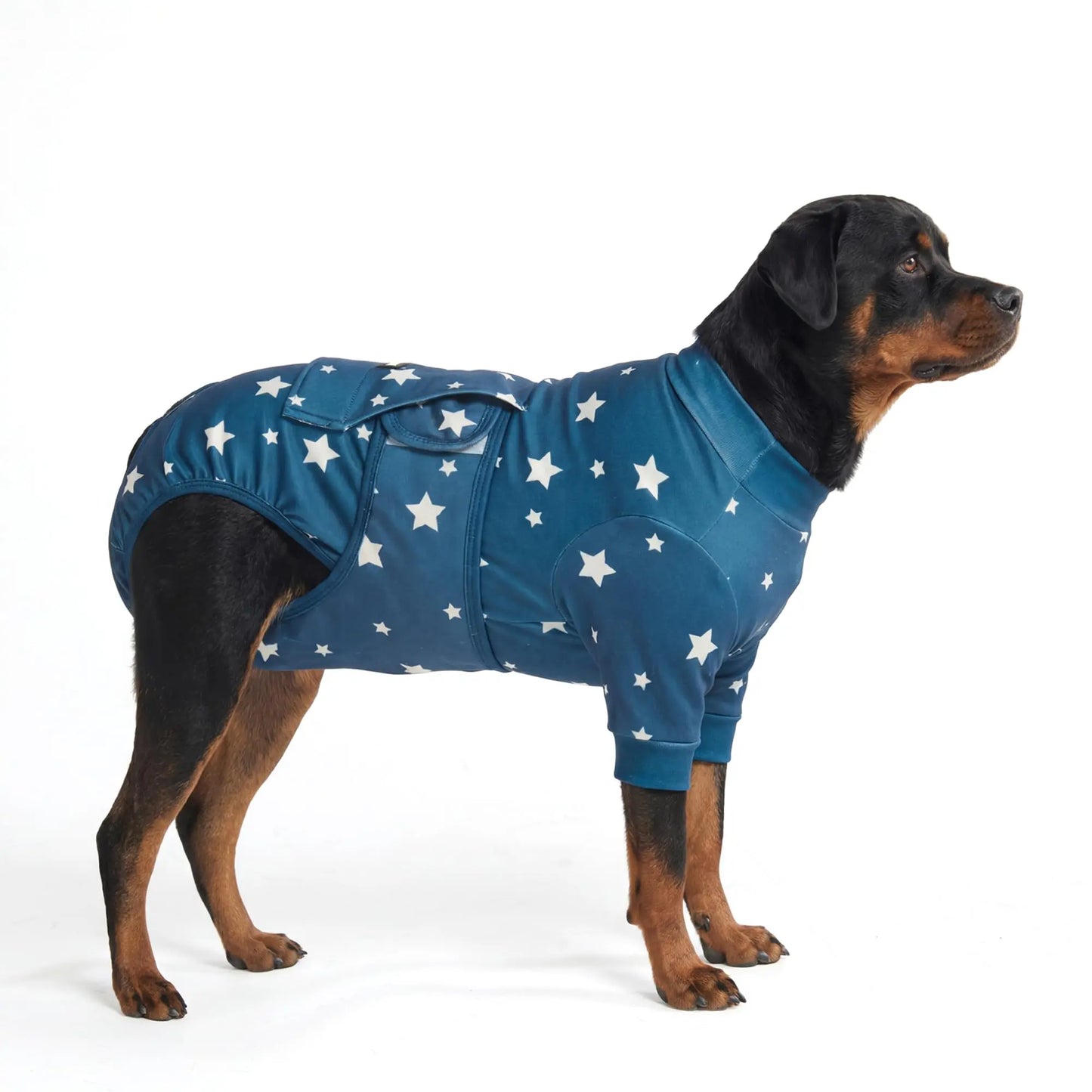 Dog Recovery Suit After Surgery — Anti-Lick Onesie & Cone Alternative (Wound Protection)