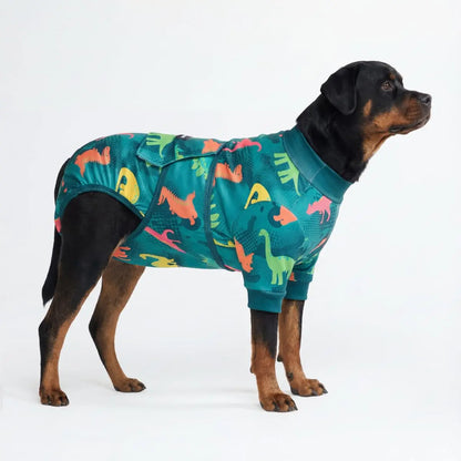 Dog Recovery Suit After Surgery — Anti-Lick Onesie & Cone Alternative (Wound Protection)