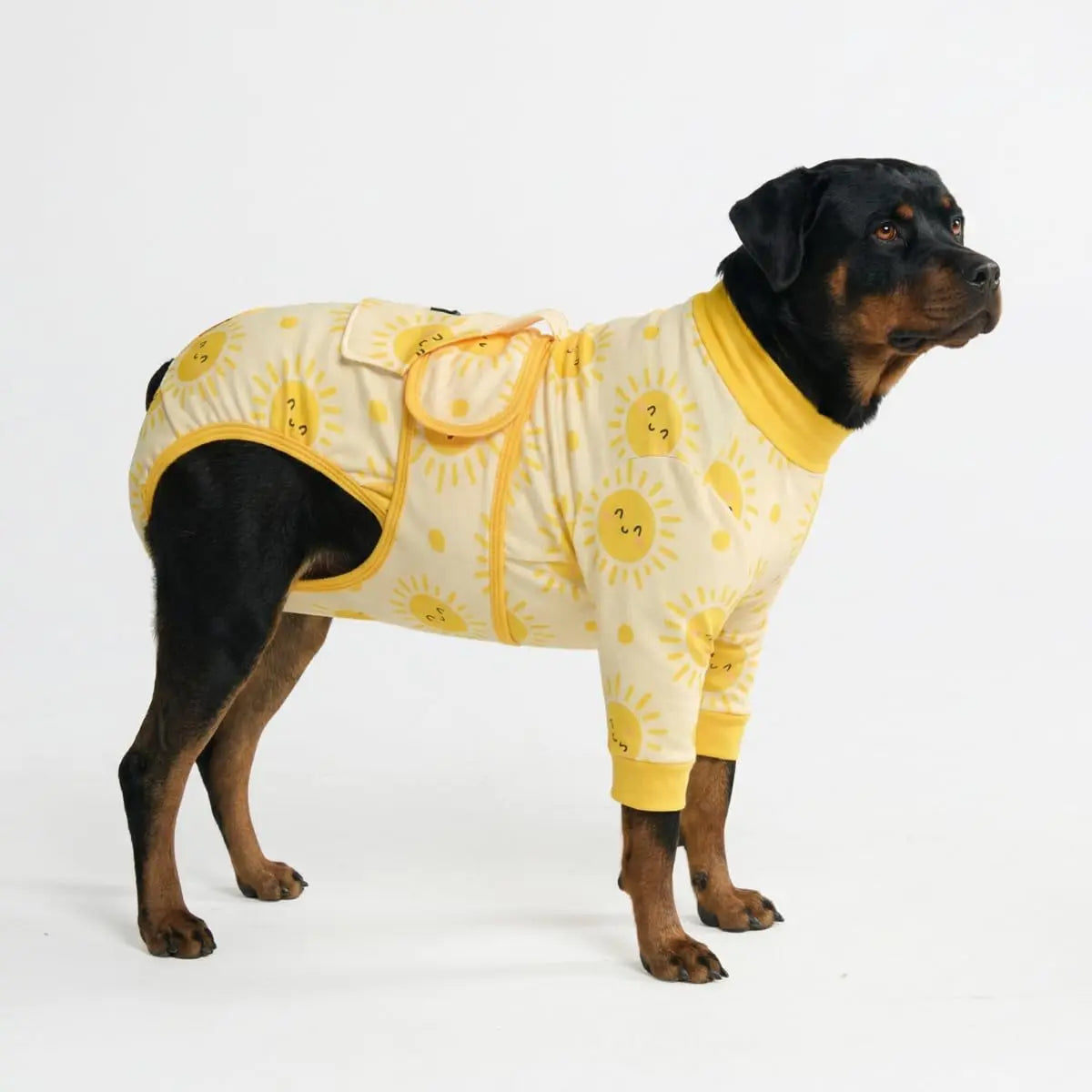 Dog Recovery Suit After Surgery — Anti-Lick Onesie & Cone Alternative (Wound Protection)