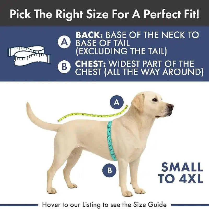 Dog Recovery Suit After Surgery — Anti-Lick Onesie & Cone Alternative (Wound Protection)