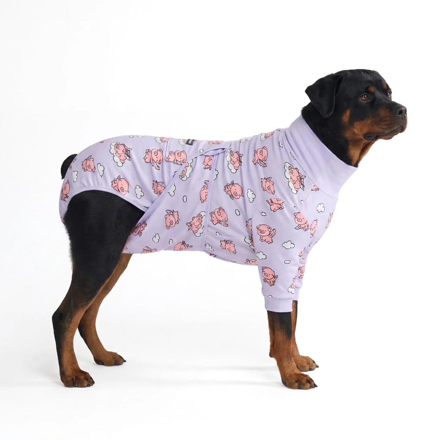 Dog Recovery Suit After Surgery — Anti-Lick Onesie & Cone Alternative (Wound Protection)