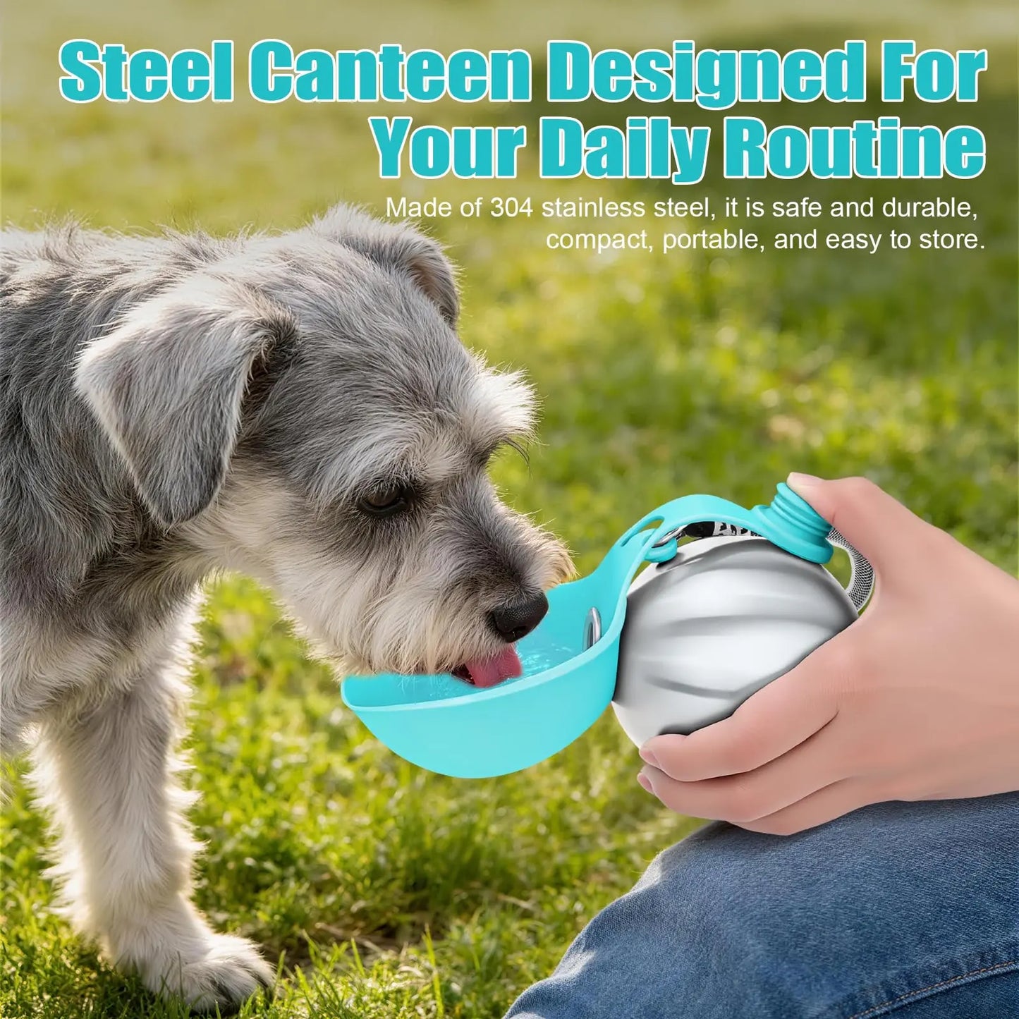 2-in-1 Portable Dog Water Bottle & Bowl — Leak-Proof Stainless Steel Travel Ball (10oz)