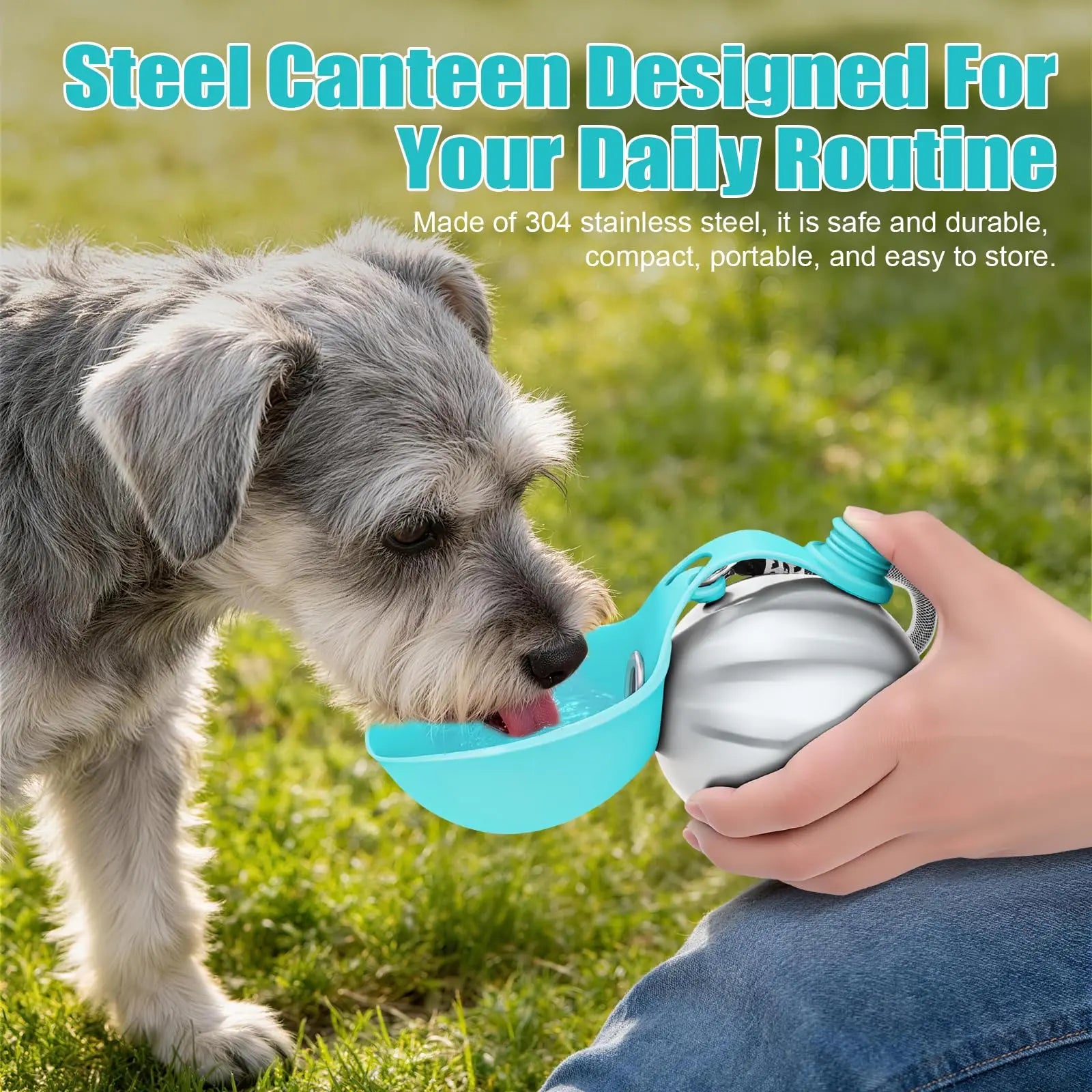 2-in-1 Portable Dog Water Bottle & Bowl — Leak-Proof Stainless Steel Travel Ball (10oz)