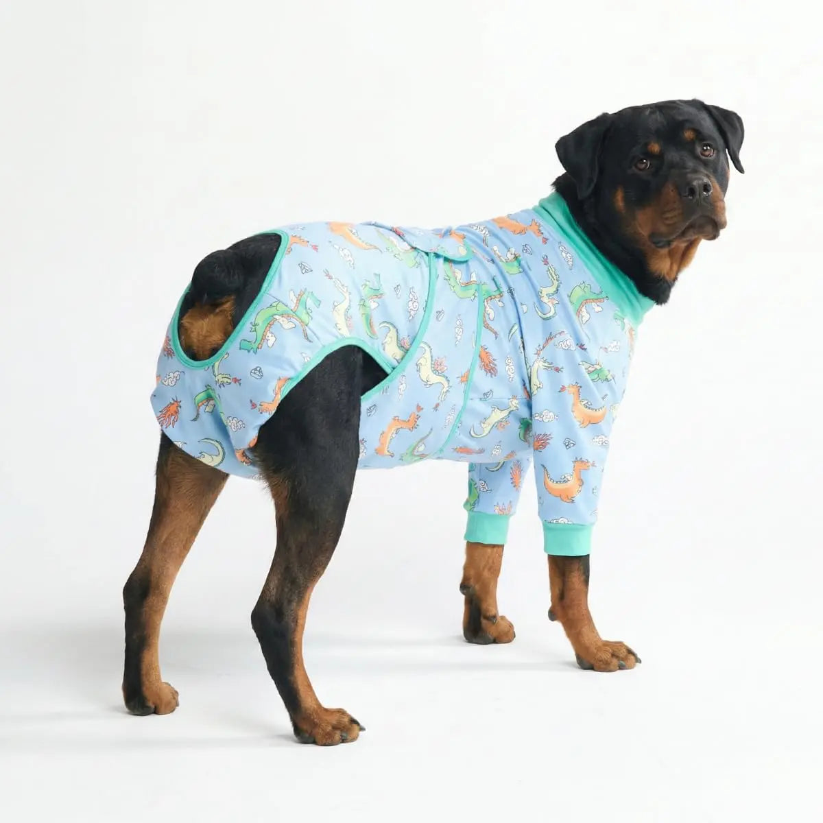 Dog Recovery Suit After Surgery — Anti-Lick Onesie & Cone Alternative (Wound Protection)