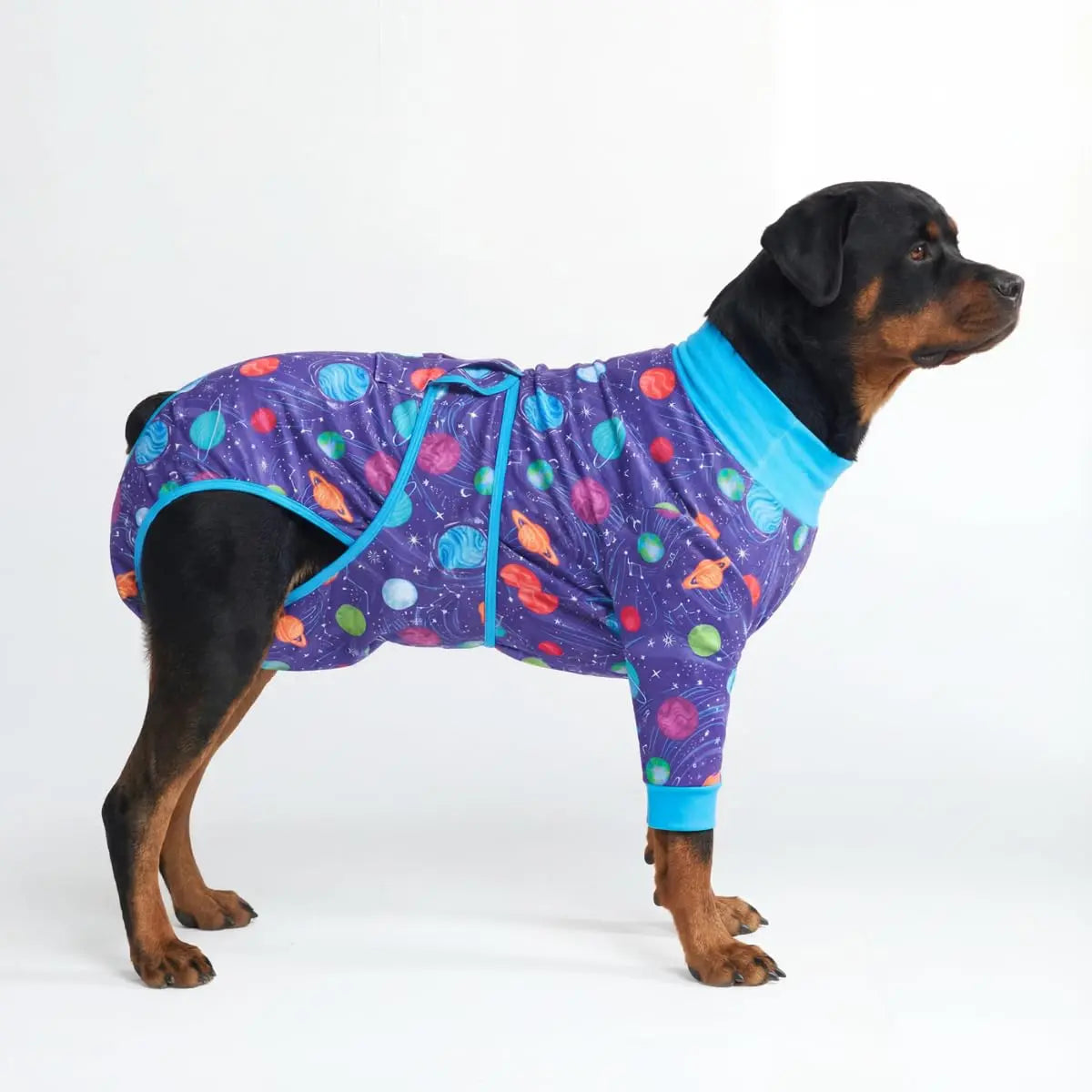 Dog Recovery Suit After Surgery — Anti-Lick Onesie & Cone Alternative (Wound Protection)