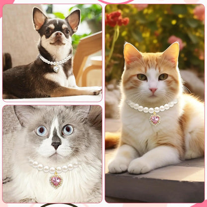 Organic Cotton Dental Chew Ropes for Cats (3-Pack) — Fights Tartar & Freshens Breath